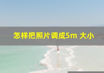 怎样把照片调成5m 大小